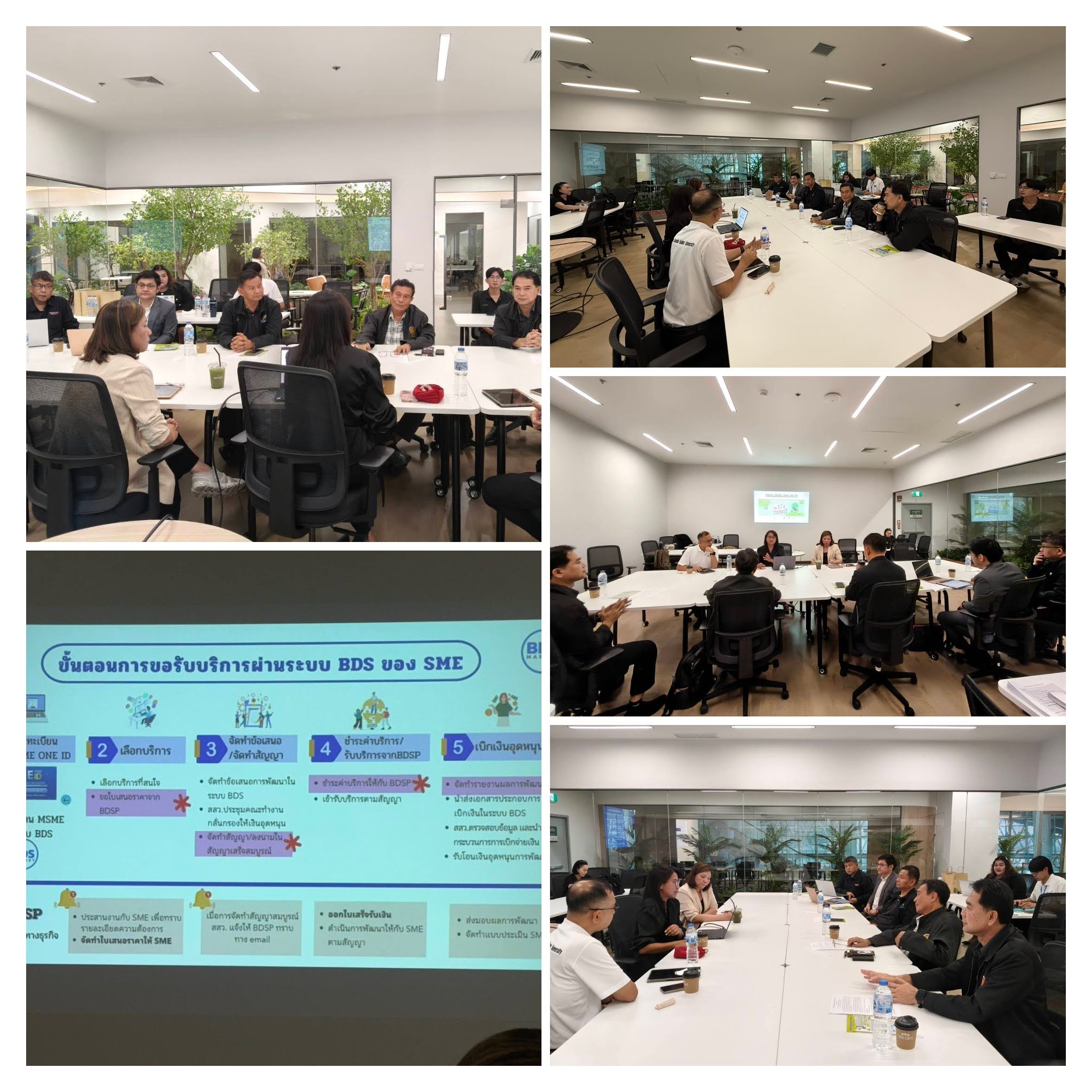 S 12189704 0 COLLAGE